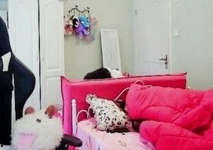 直播睡觉女主播,女主播的梦境之旅