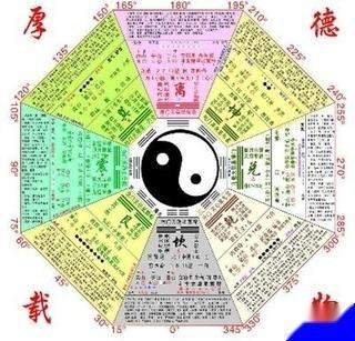兔子的八卦,探寻兔子世界的神秘面纱