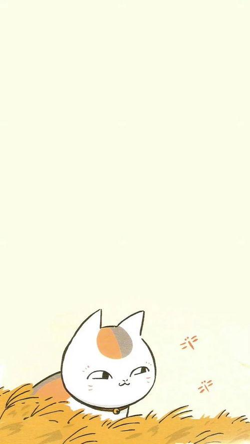 猫咪老师聊天背景,揭秘猫咪世界的趣味互动之旅